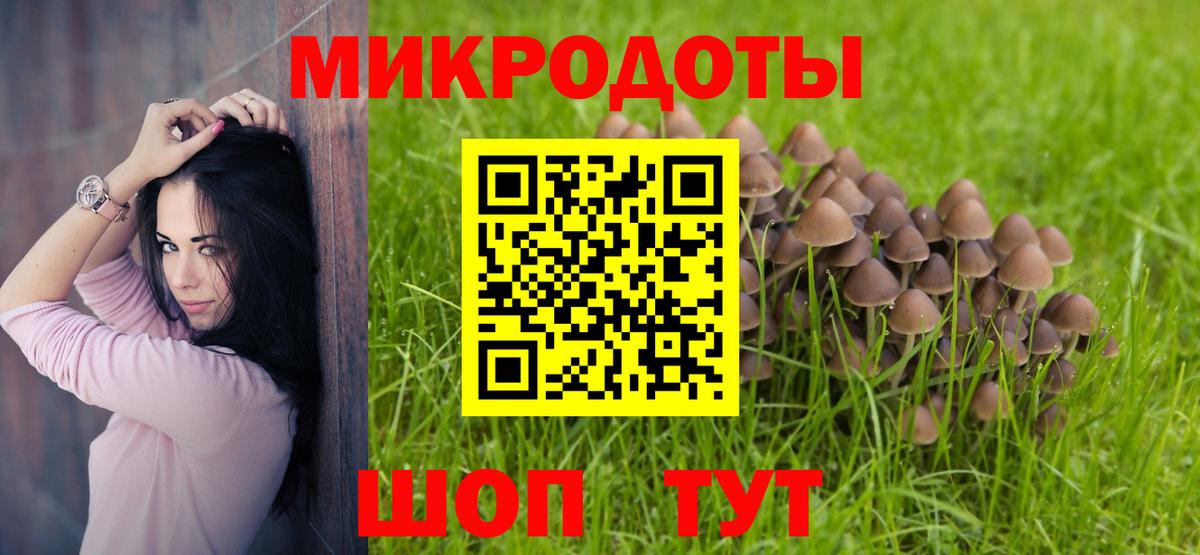 Галлюциногенные грибы MAGIC MUSHROOMS  Псилоцибиновые грибы Cubensis  Строитель  Вход с VPN 